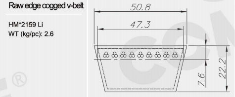 609823.0 Wholesale factory price Banded classical V-belt(图3)